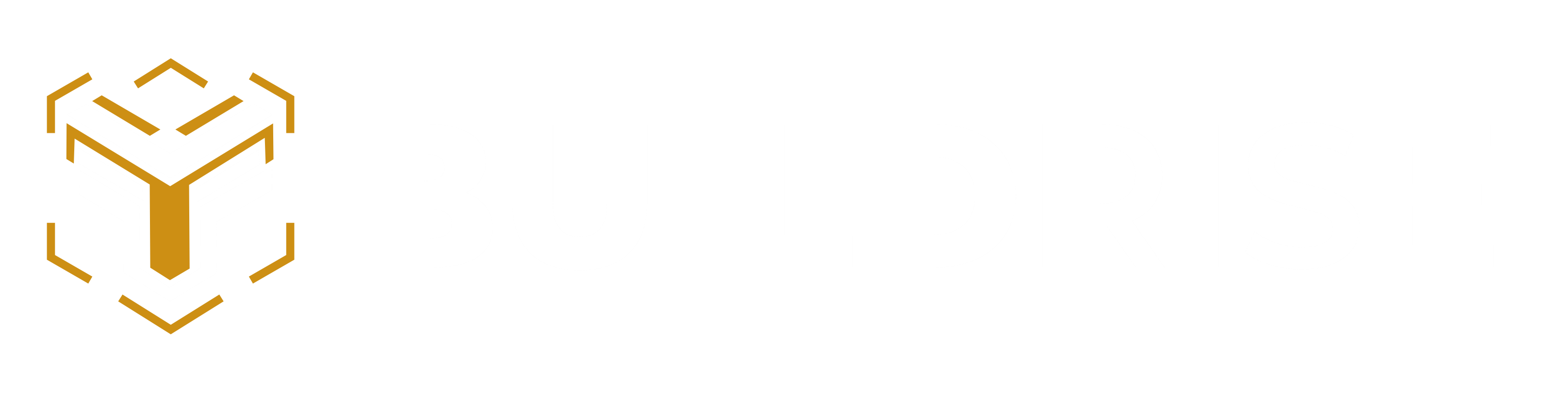 BuildRise Logo